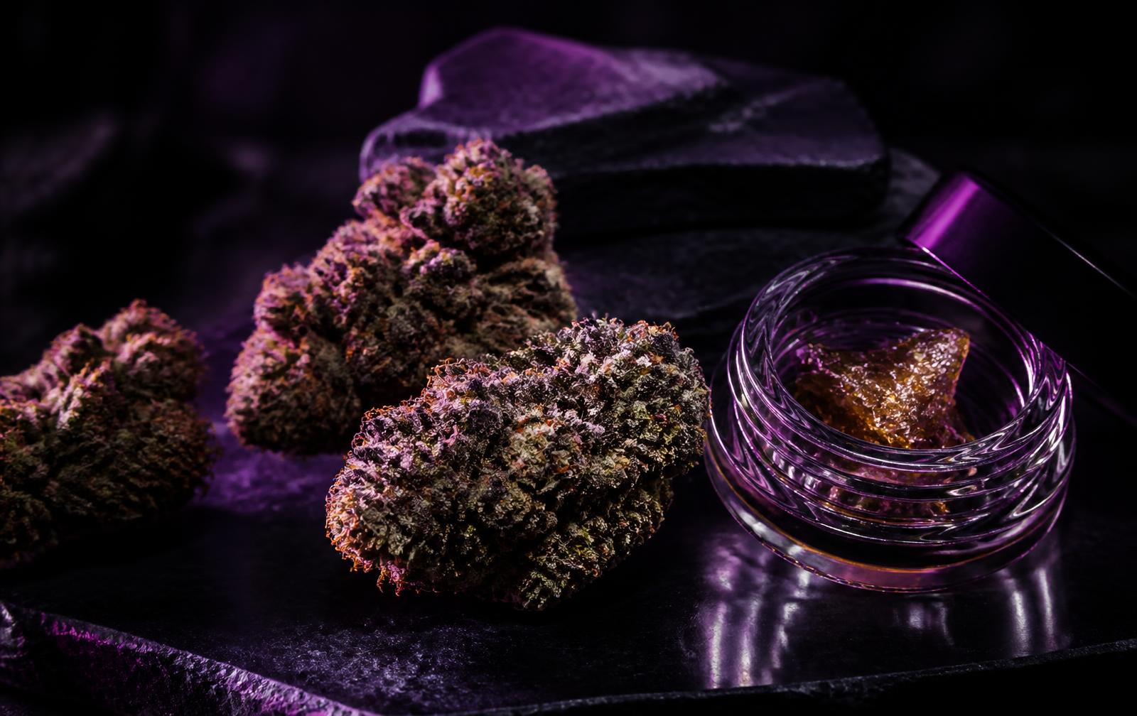Premium cannabis flower and a concentrate jar lit with purple light
